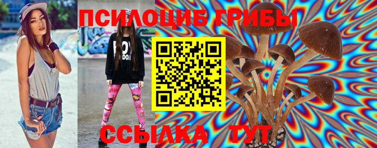 Псилоцибиновые грибы Psilocybine cubensis Мелеуз