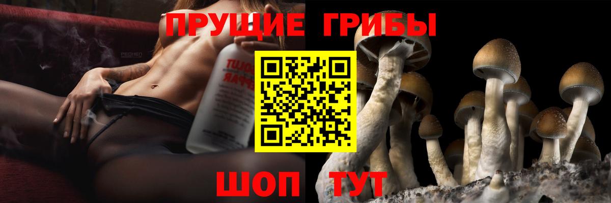 Мелеуз  Псилоцибиновые грибы Psilocybine cubensis  Галлюциногенные грибы мухоморы  Вход с VPN 