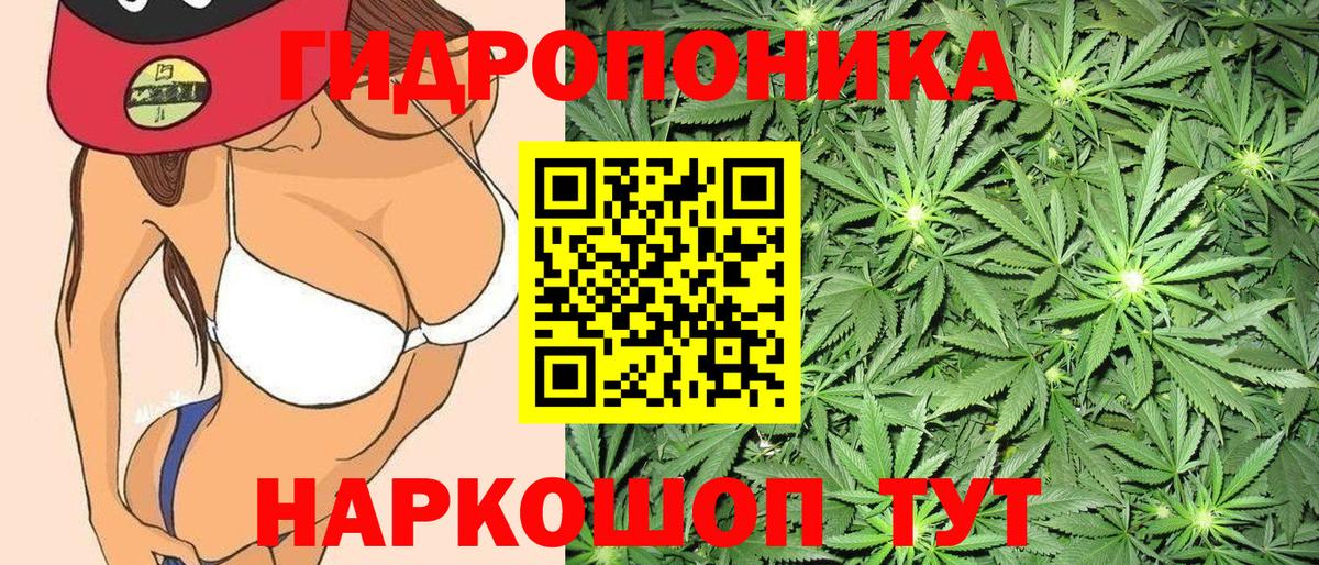 Конопля AK-47  Вход с VPN  Конопля конопля  Мелеуз 